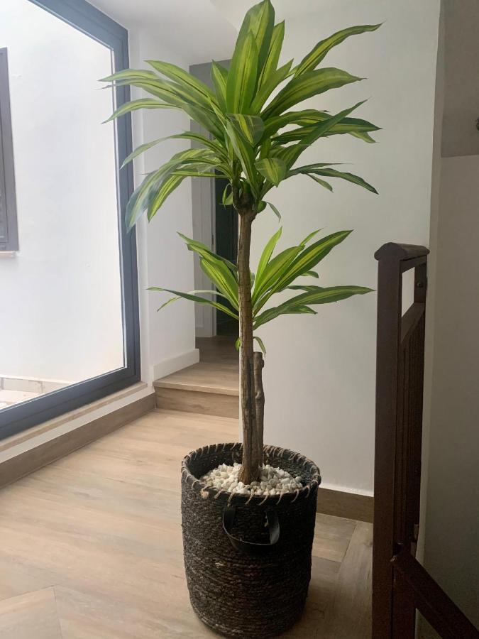 Puerta De Caceres Apartamento 2 Экстерьер фото
